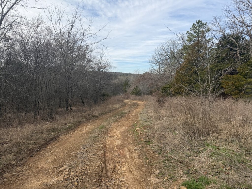 Picture 15