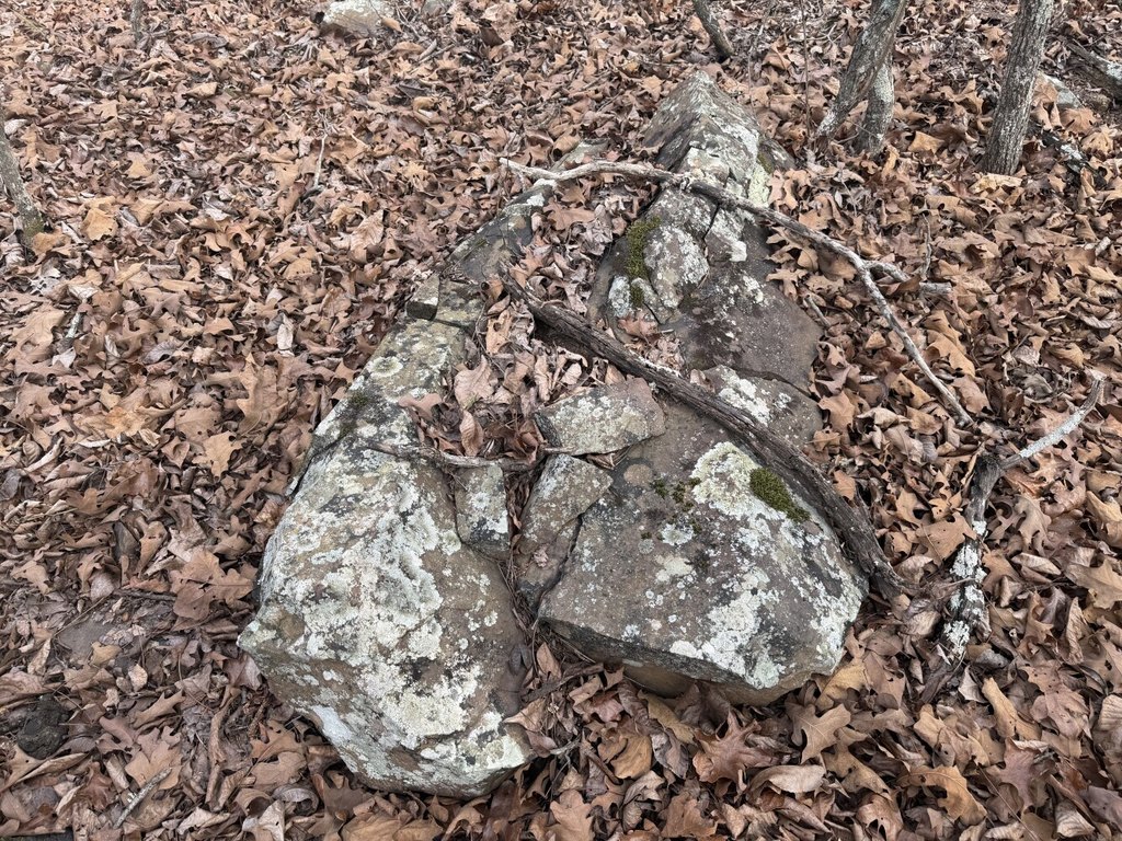Picture 11