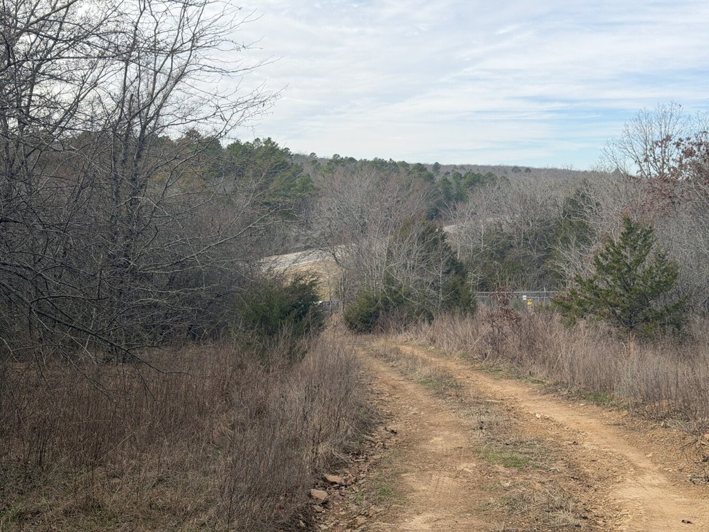 Picture 2