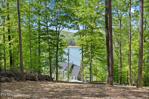 Norris Lake View Lot