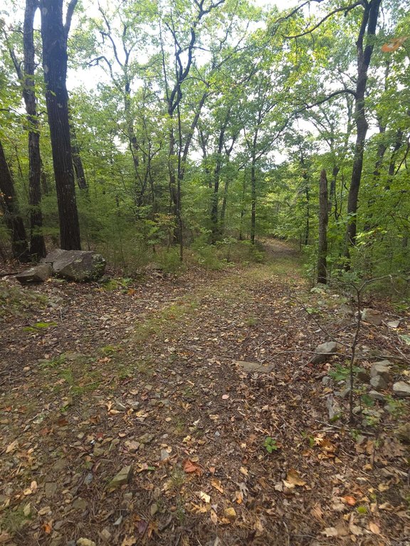 Picture 14