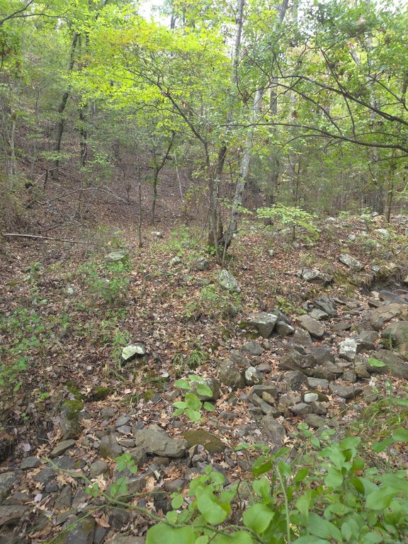 Picture 29