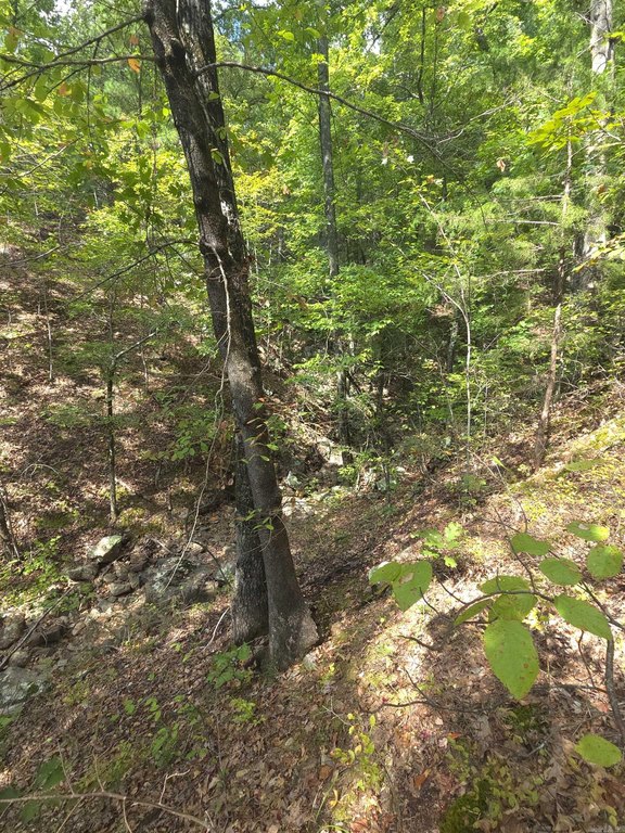 Picture 16