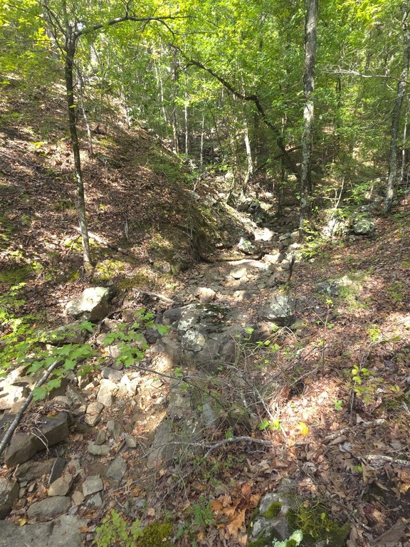 Picture 17