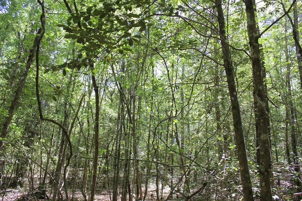 Picture 9