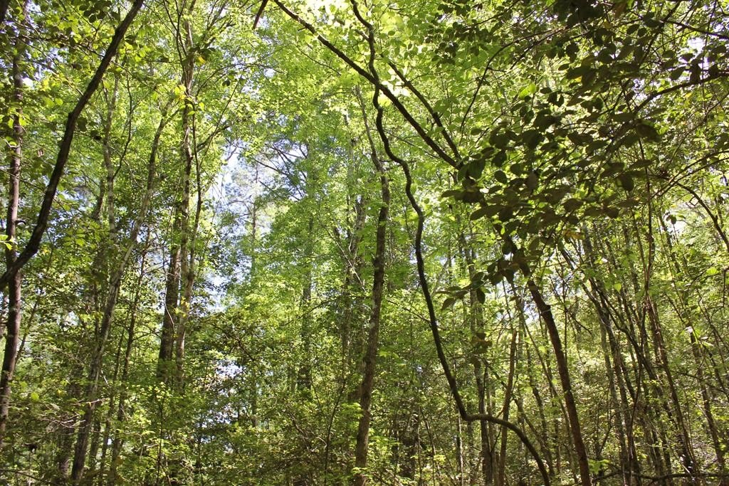 Picture 10