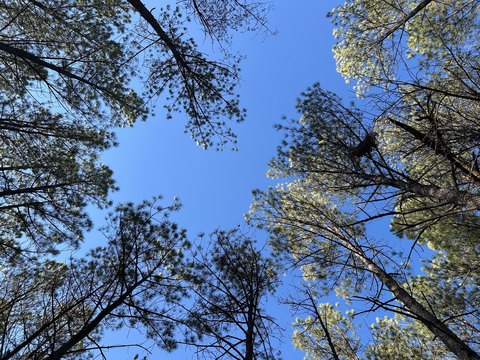 Jasper Highlands Residential Land