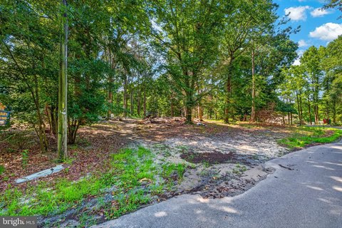 LAND - BRIDGEVILLE, DE
