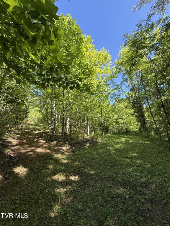 Picture 5