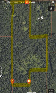 68 Acres Hunter's Dream Land