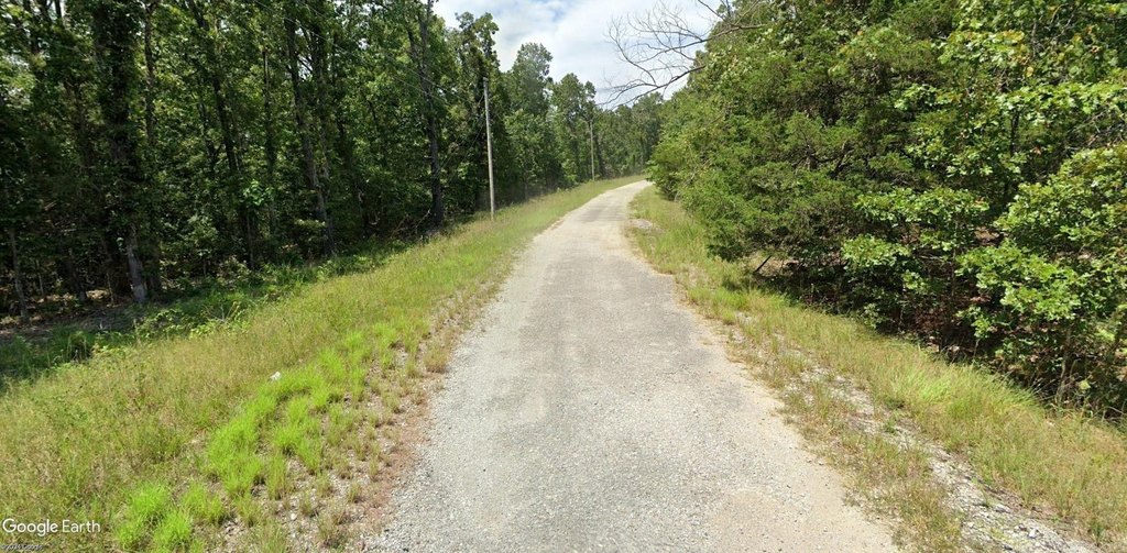 Picture 8