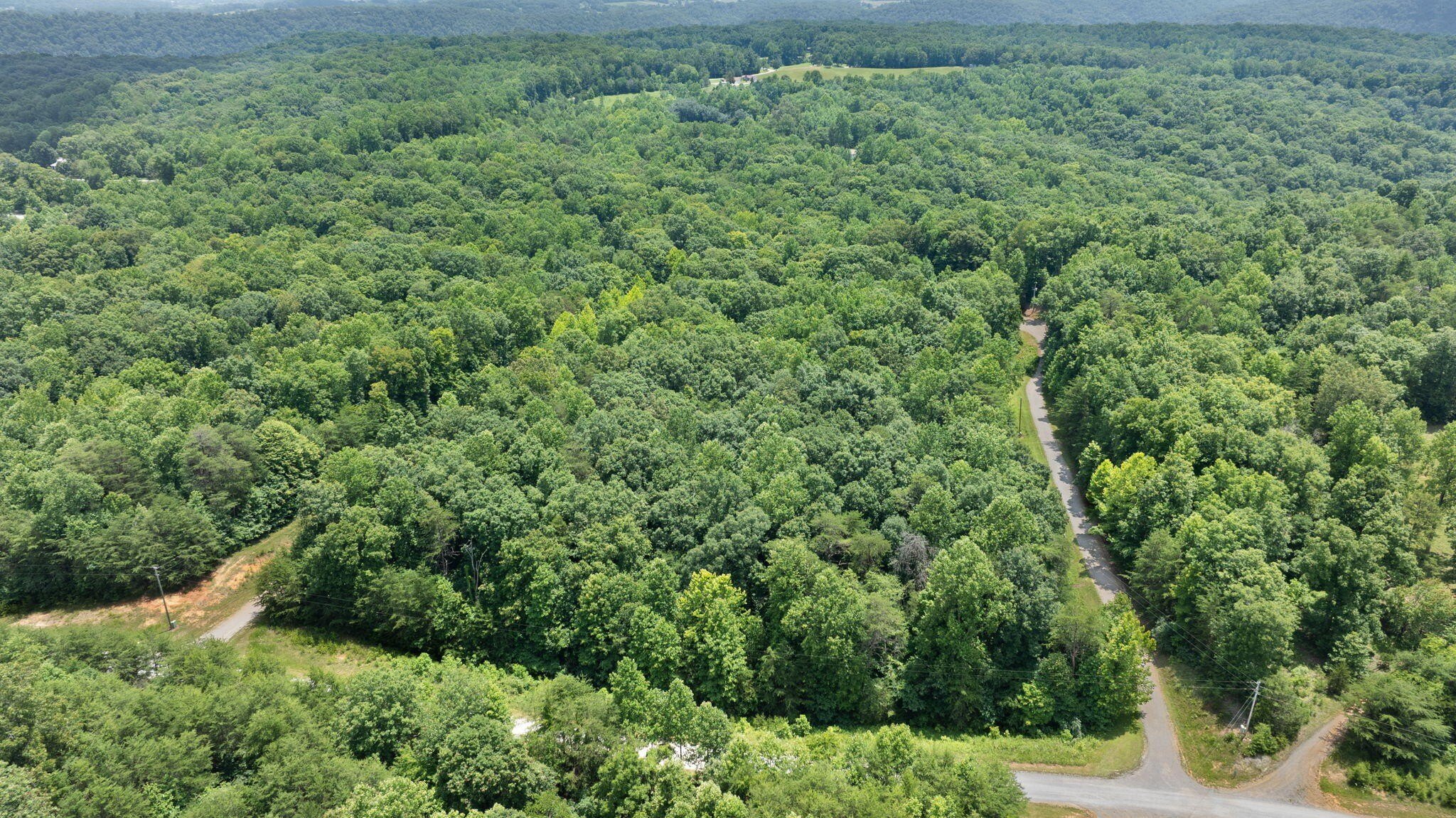 Wooded Land Near Lake Cumberland