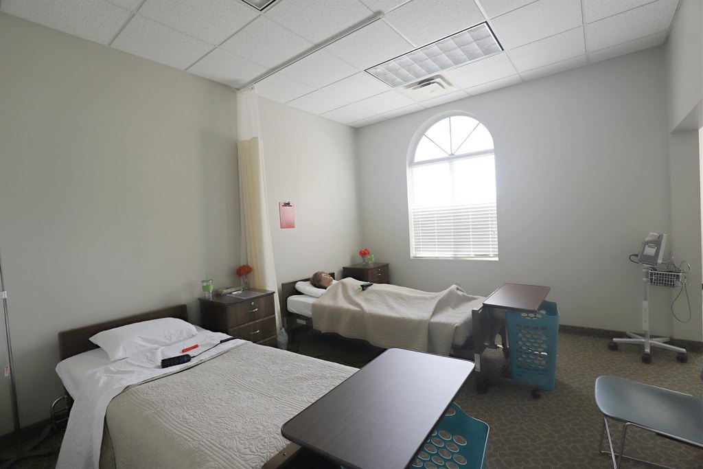 Picture 23