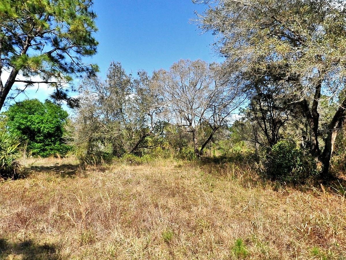 Residential Land in North Port