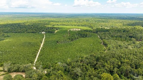Land, Molino, FL