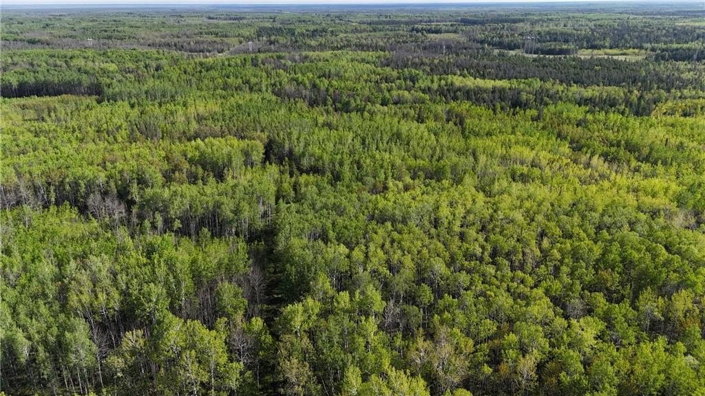 160 Acres of Minnesota Wilderness