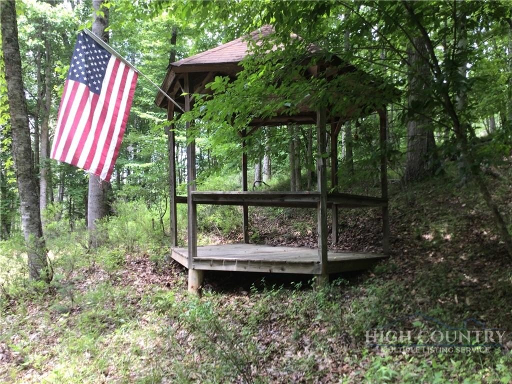 Picture 5