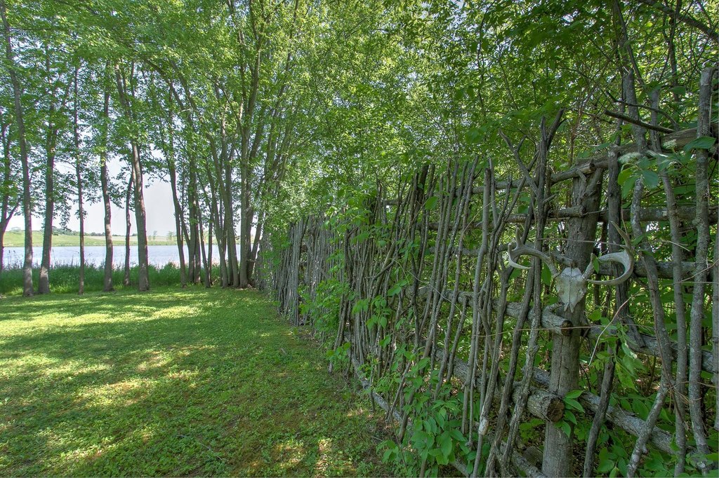 Picture 38