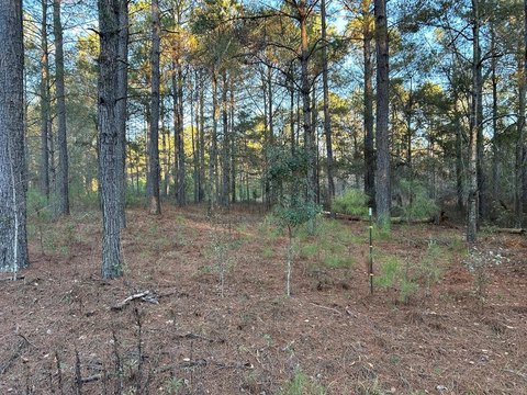 Quitman, GA Residential Land