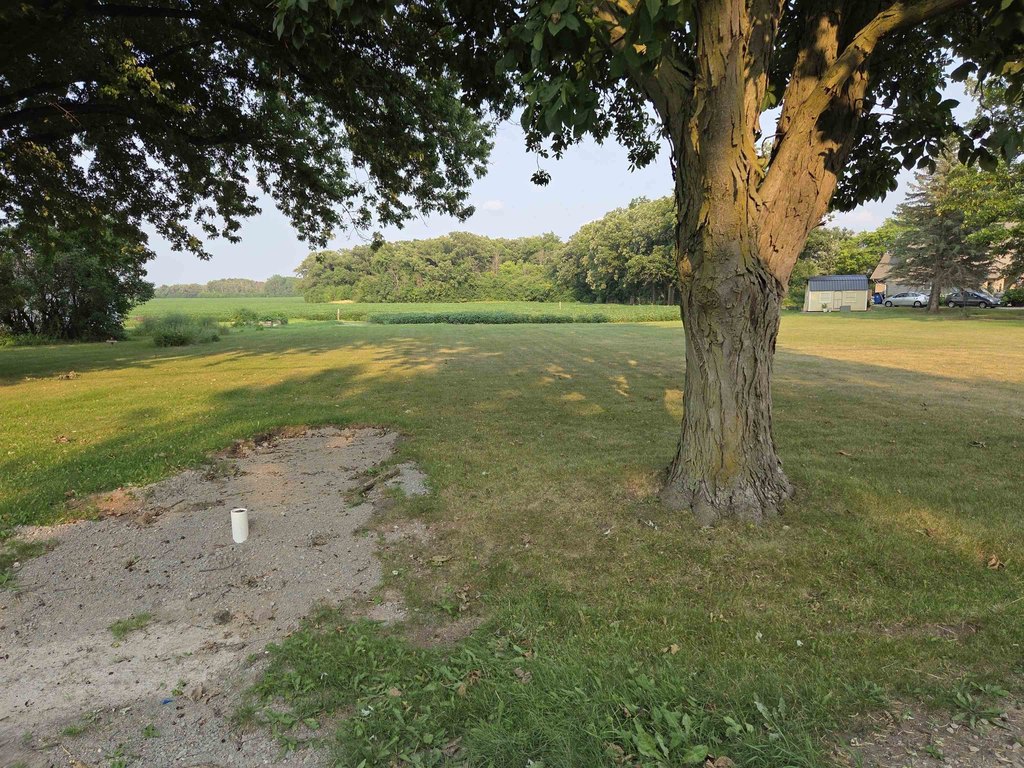 Picture 2