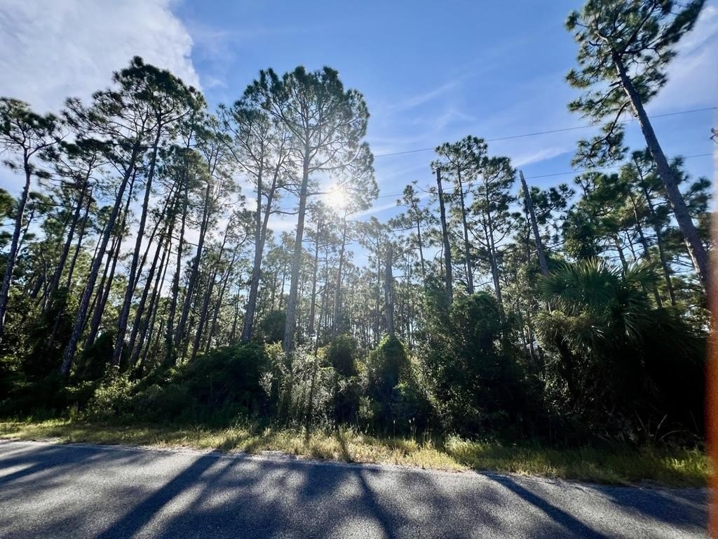 Golf Course Lot in Florida