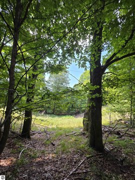 Vacant Recreation Land Lot