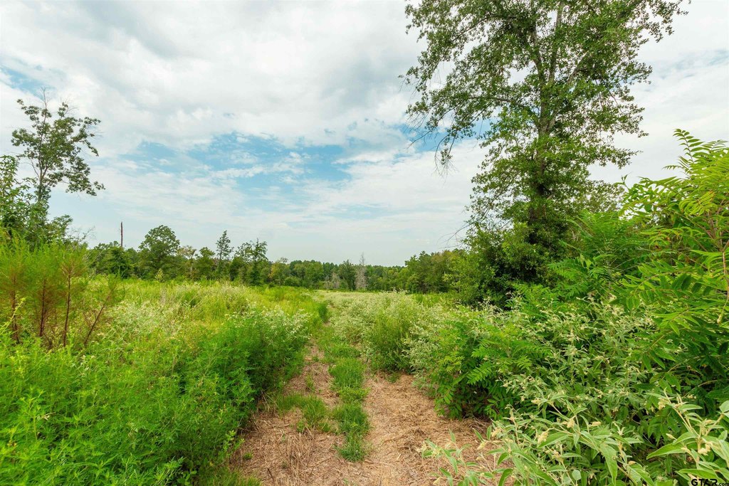 Picture 10