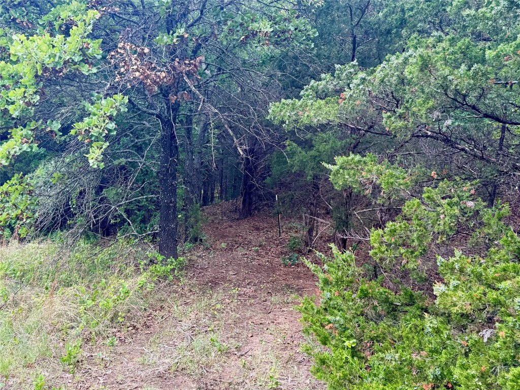 Picture 22
