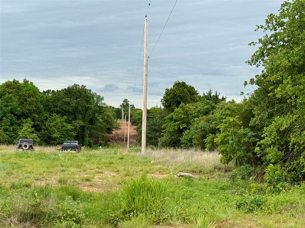 Picture 39