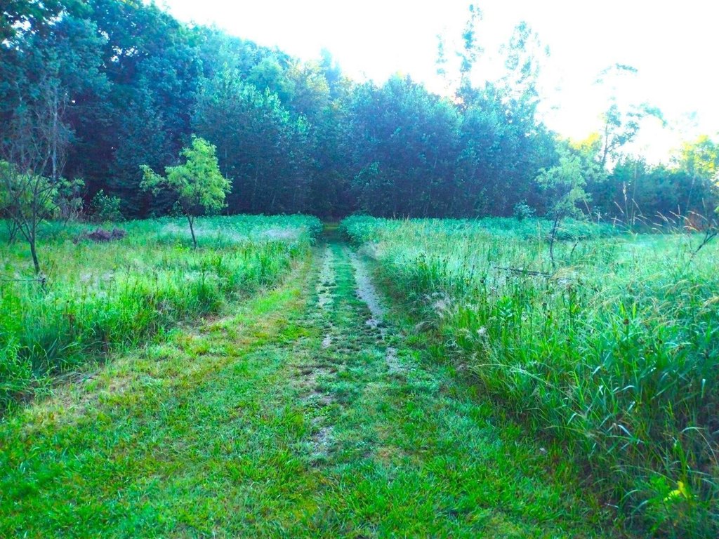 Picture 10