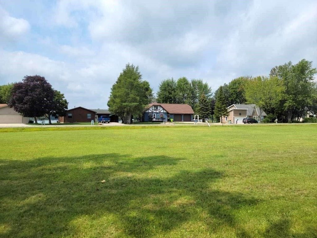 Picture 8