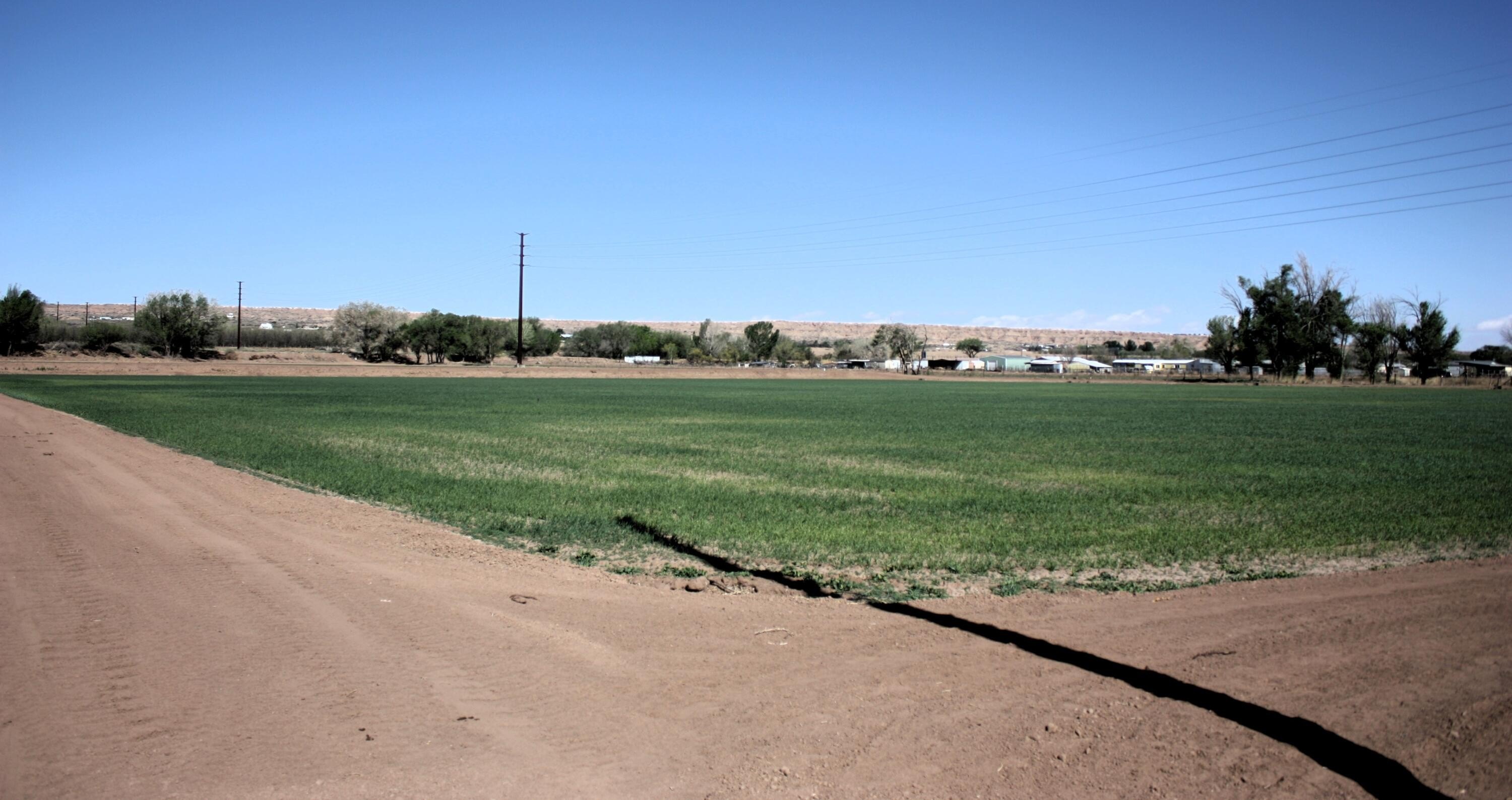 Belen Farmland with Irrigation System
