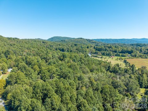 Land, Pisgah Forest, NC