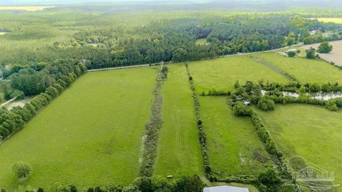 Pastureland Parcels in Pace, Florida