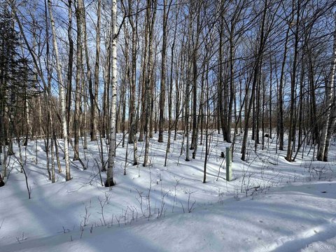 Vacant Land in Ski Village