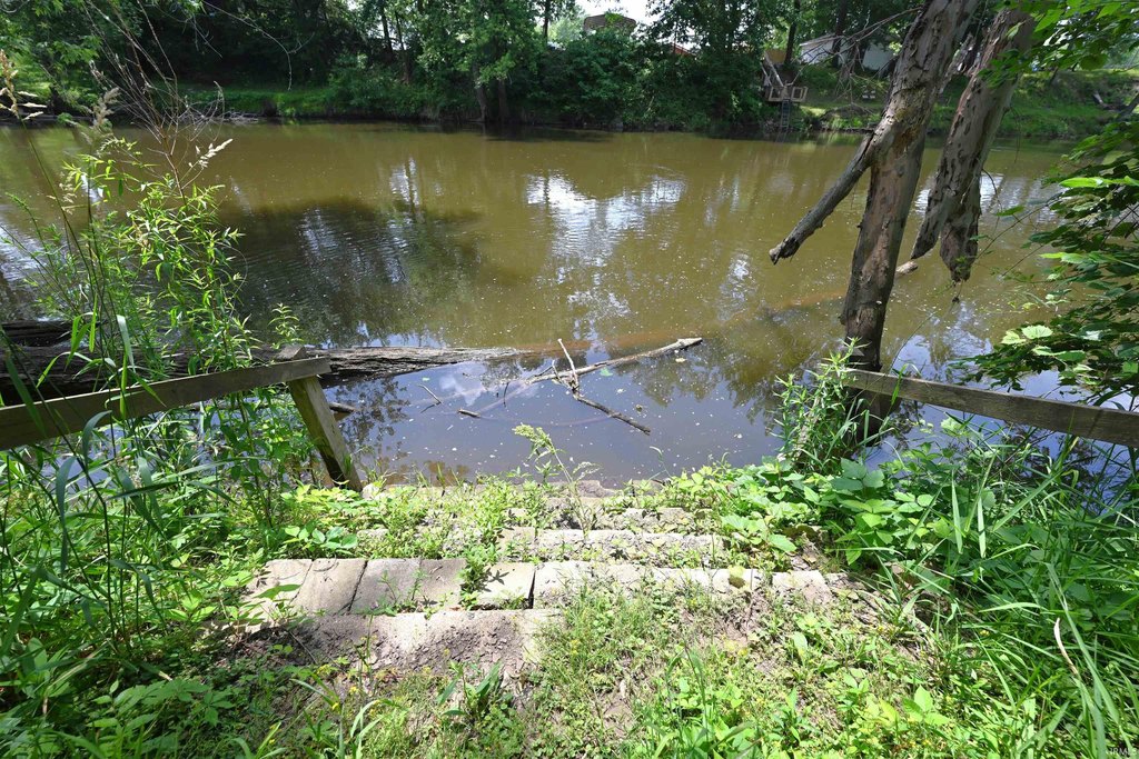 Picture 5
