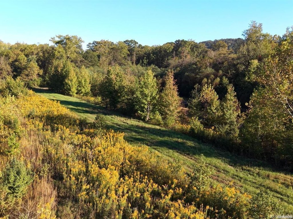 Picture 27