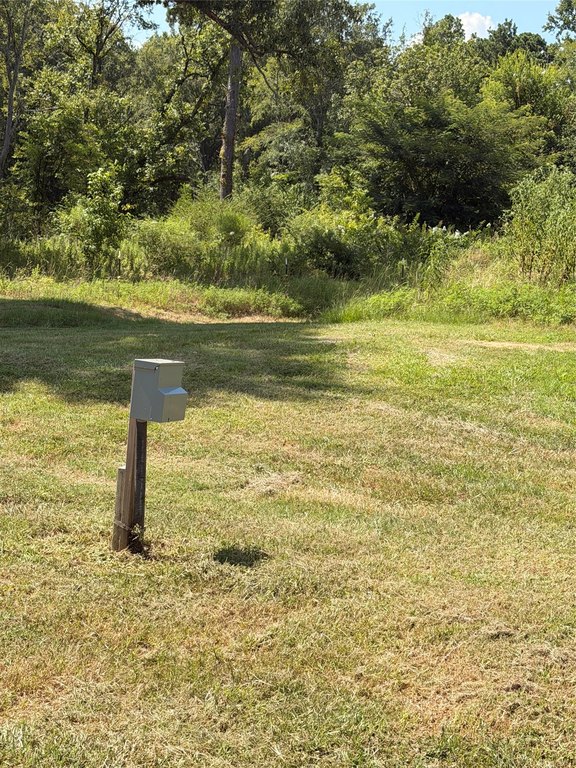 Picture 6