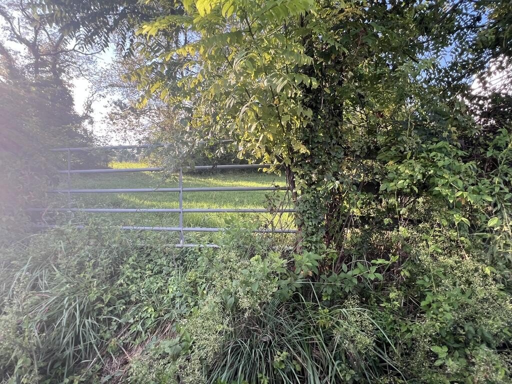 Picture 27