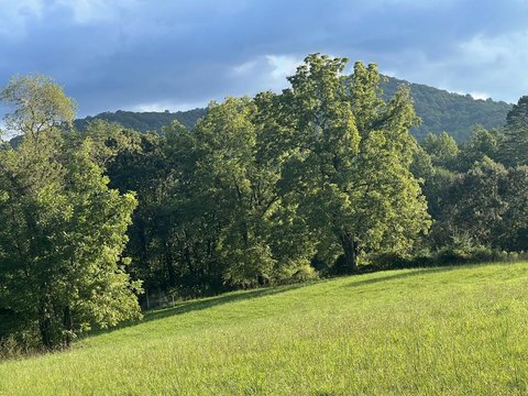 Vacant Lot, Blue Ridge, GA