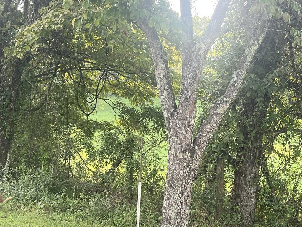 Picture 21