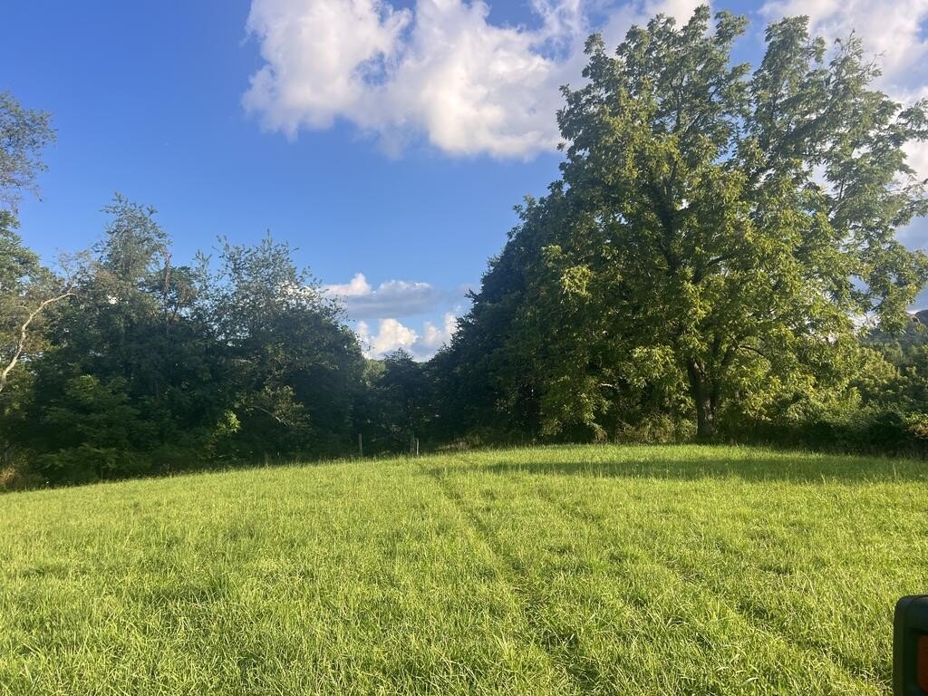 Picture 22