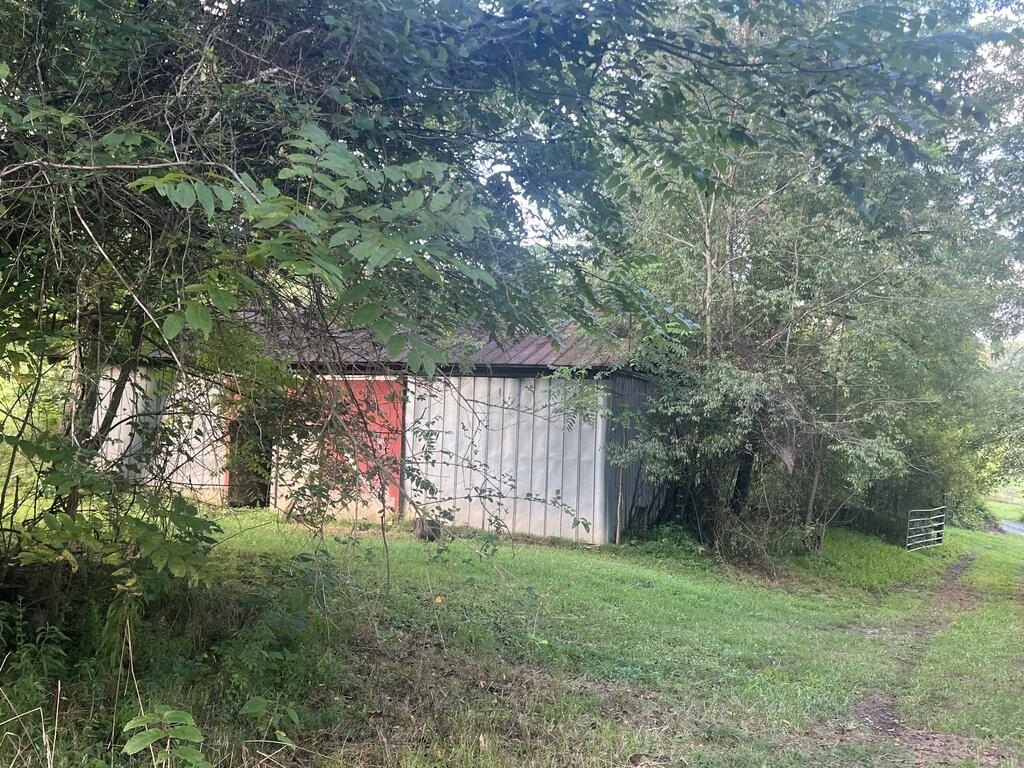 Picture 5