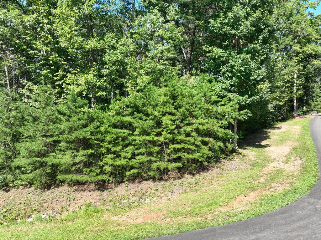 Picture 21