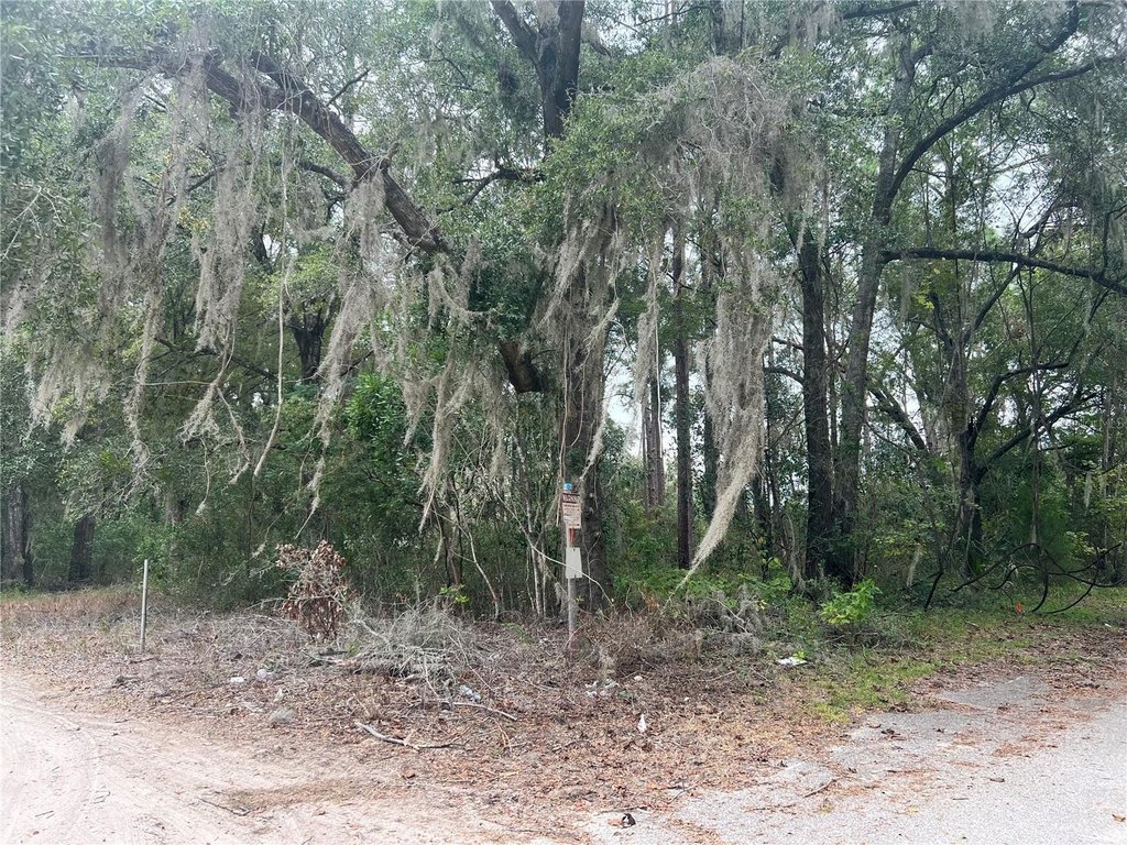 Picture 2