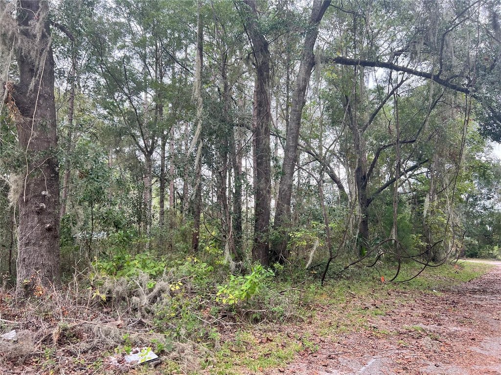 Picture 4