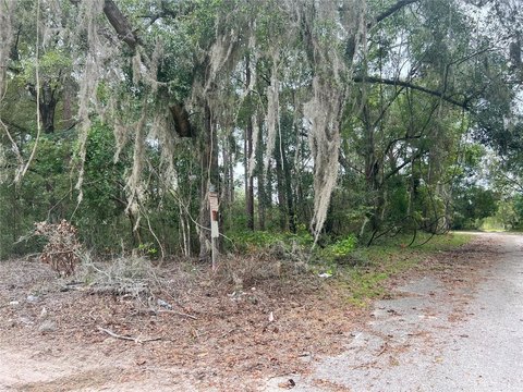 Residential Land in High Springs