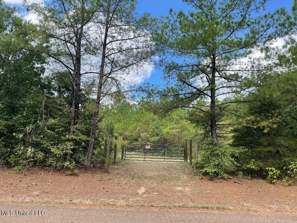 22.43 Acres in Strayhorn, MS