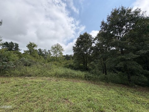 Agricultural Land With Deeded Access