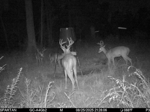 Amite, LA Hunting Land